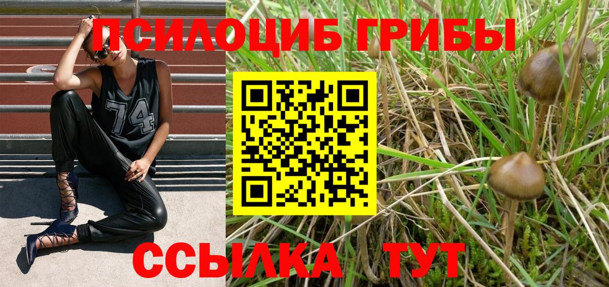 Галлюциногенные грибы GOLDEN TEACHER  Вход с VPN  Камень-на-Оби 