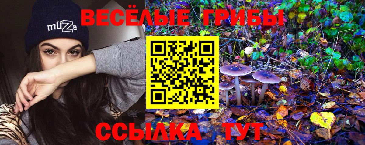 Псилоцибиновые грибы ЛСД Камень-на-Оби
